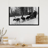 Post Levering door een Dog Team 1905 Poster (Keuken)