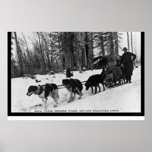 Post Levering door een Dog Team 1905 Poster
