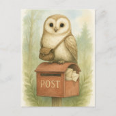 Post Uil Mail Vogel Wilde Dieren Briefkaart (Voorkant)