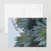 Postal Agave Mexico Souvenir Briefkaart (Voorkant / Achterkant)