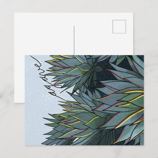 Postal Agave Mexico Souvenir Briefkaart (Voorkant / Achterkant)