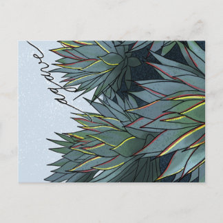 Postal Agave Mexico Souvenir Briefkaart