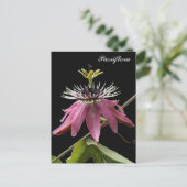 Postal de Passiflora Briefkaart (Staand voorkant)
