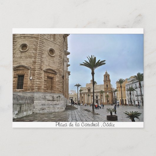 Postal de Plaza de la Catedral, Cádiz Briefkaart (Voorkant)