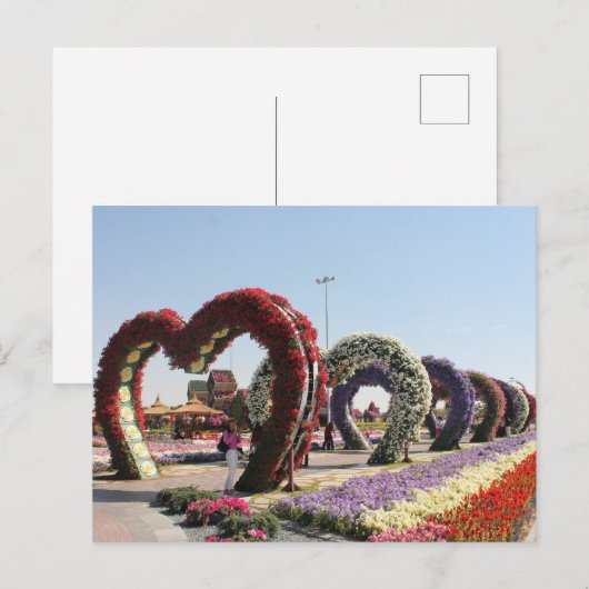 Postal Dubai Mirakel Garden Briefkaart (Voorkant / Achterkant)