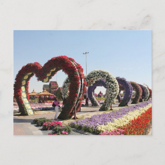 Postal Dubai Mirakel Garden Briefkaart (Voorkant)