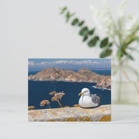 Postal gaviota en las Islas Cíes Briefkaart (Staand voorkant)