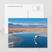 Postal, Lago en San Pedro de Atacama, Chili Briefkaart (Voorkant / Achterkant)