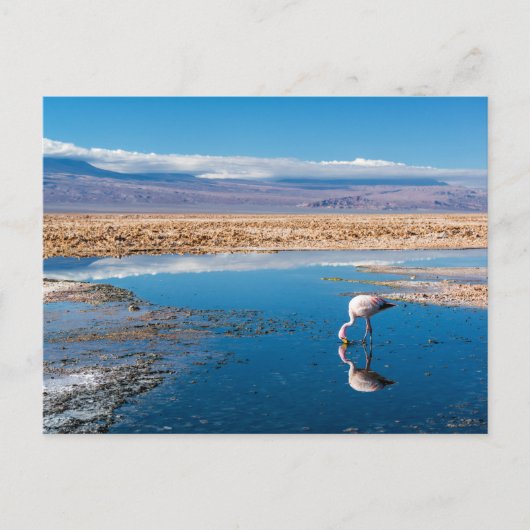 Postal, Lago en San Pedro de Atacama, Chili Briefkaart (Voorkant)