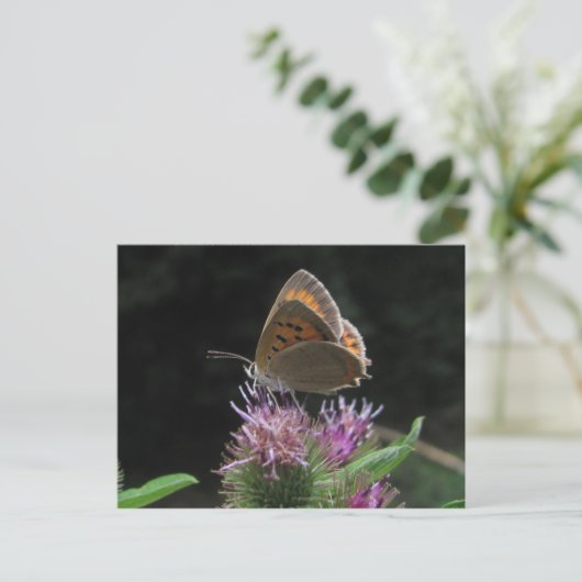 Postal mariposa briefkaart (Staand voorkant)