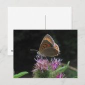 Postal mariposa briefkaart (Voorkant / Achterkant)