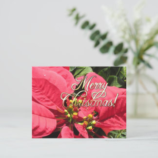 Postal Xmas 002 - Postcard Briefkaart