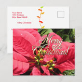 Postal Xmas 002  - Postcard Briefkaart (Voorkant / Achterkant)