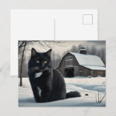 Postale Black Cat Serie 2 02 Briefkaart (Voorkant / Achterkant)