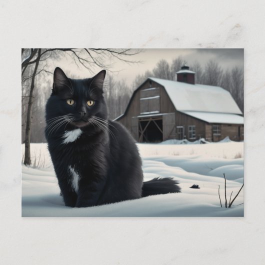 Postale Black Cat Serie 2 02 Briefkaart (Voorkant)