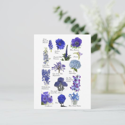 Postale Blauwe bloem Briefkaart (Staand voorkant)