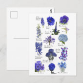 Postale Blauwe bloem Briefkaart (Voorkant / Achterkant)