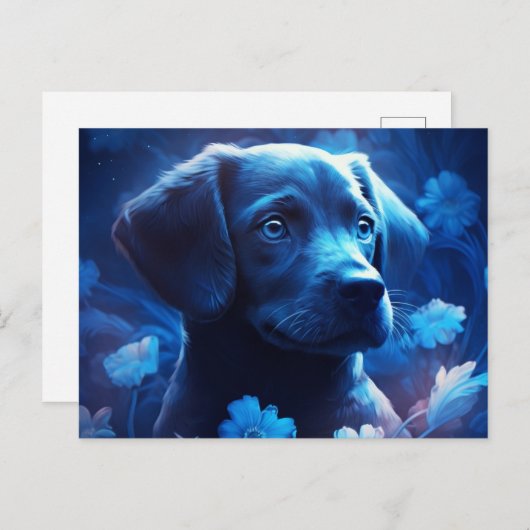 Postale blauwe lichtkaart briefkaart (Voorkant / Achterkant)