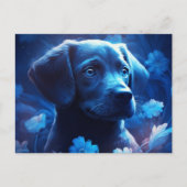 Postale blauwe lichtkaart briefkaart (Voorkant)