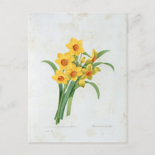 Postale bloem 5 briefkaart