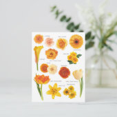 Postale bloem Oranje Briefkaart (Staand voorkant)