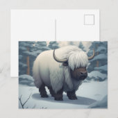 Postale Bufalo Briefkaart (Voorkant / Achterkant)