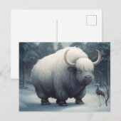 Postale Bufalo Briefkaart (Voorkant / Achterkant)