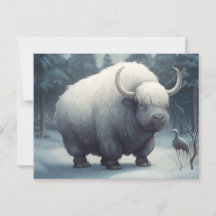 Postale Bufalo