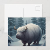 Postale Bufalo Briefkaart (Voorkant / Achterkant)