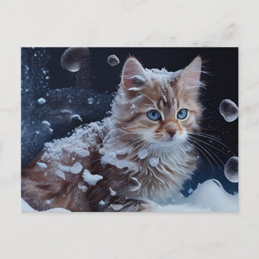 Postale Cat Divers-kaarten Briefkaart (Voorkant)