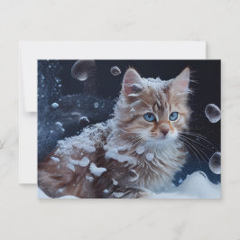 Postale Cat Divers-kaarten Briefkaart