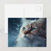 Postale Cat Divers-kaarten Briefkaart (Voorkant / Achterkant)