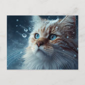 Postale Cat Divers-kaarten Briefkaart (Voorkant)