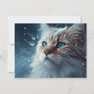 Postale Cat Divers-kaarten Briefkaart