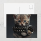 Postale Cat prisoner Briefkaart (Voorkant / Achterkant)