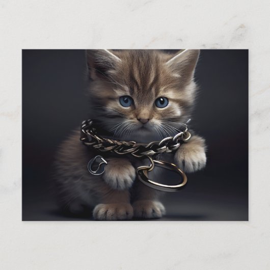 Postale Cat prisoner Briefkaart (Voorkant)