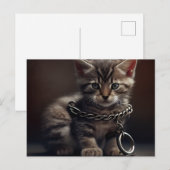 Postale Cat prisoner Briefkaart (Voorkant / Achterkant)