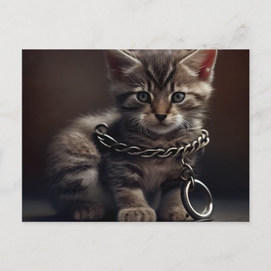 Postale Cat prisoner Briefkaart (Voorkant)