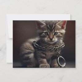 Postale Cat prisoner Briefkaart