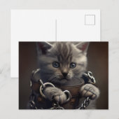 Postale Cat prisoner Briefkaart (Voorkant / Achterkant)
