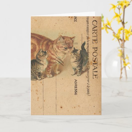 Postale Cats Digital Art Birthday Kaart (Gele Bloem)