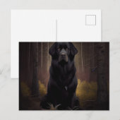 Postale Chien Divers Briefkaart (Voorkant / Achterkant)