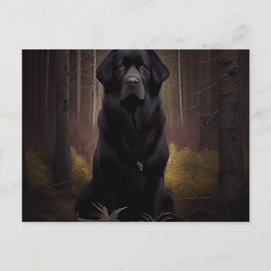 Postale Chien Divers Briefkaart (Voorkant)