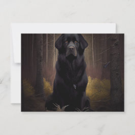 Postale Chien Divers Briefkaart