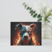 Postale Chien Divers Briefkaart (Staand voorkant)
