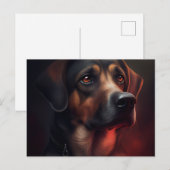 Postale Chien Divers Briefkaart (Voorkant / Achterkant)