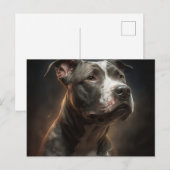 Postale Chien Divers Briefkaart (Voorkant / Achterkant)