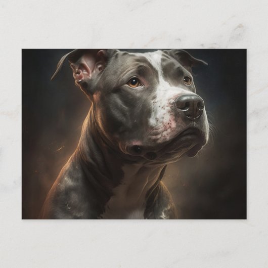 Postale Chien Divers Briefkaart (Voorkant)