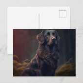 Postale Chien Divers Briefkaart (Voorkant / Achterkant)