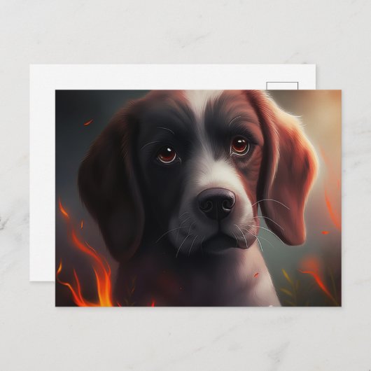 Postale Chien Divers Briefkaart (Voorkant / Achterkant)